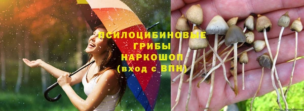 a pvp Богданович